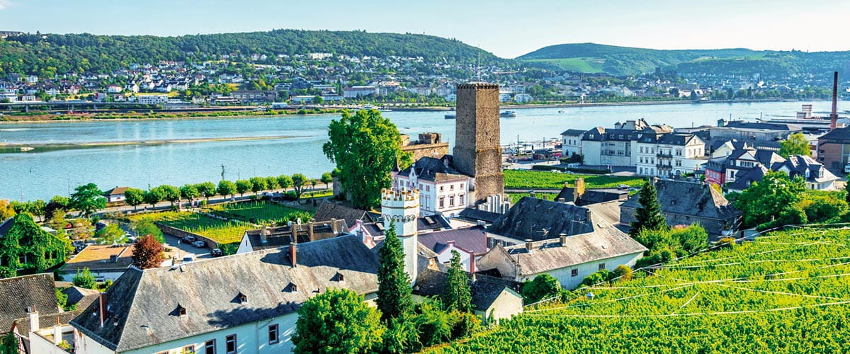 Rüdesheim and its vineyards